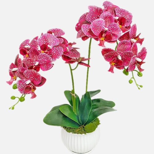 Florist Malaysia